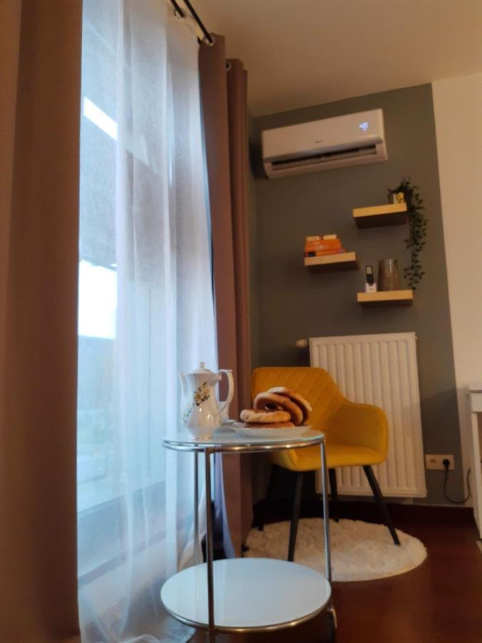 Jm Apartment Old Town كراكوفيا المظهر الخارجي الصورة